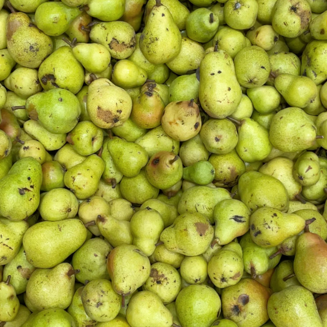 NON2 Caramelised Pear & Kombu