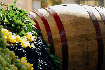The Mysterious Reason Why Wine Doesn’t Taste the Same Year to Year - Halal Wine Cellar