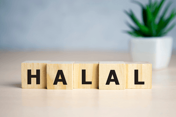 Wooden blocks spelling HALAL on a table beside a small potted plant