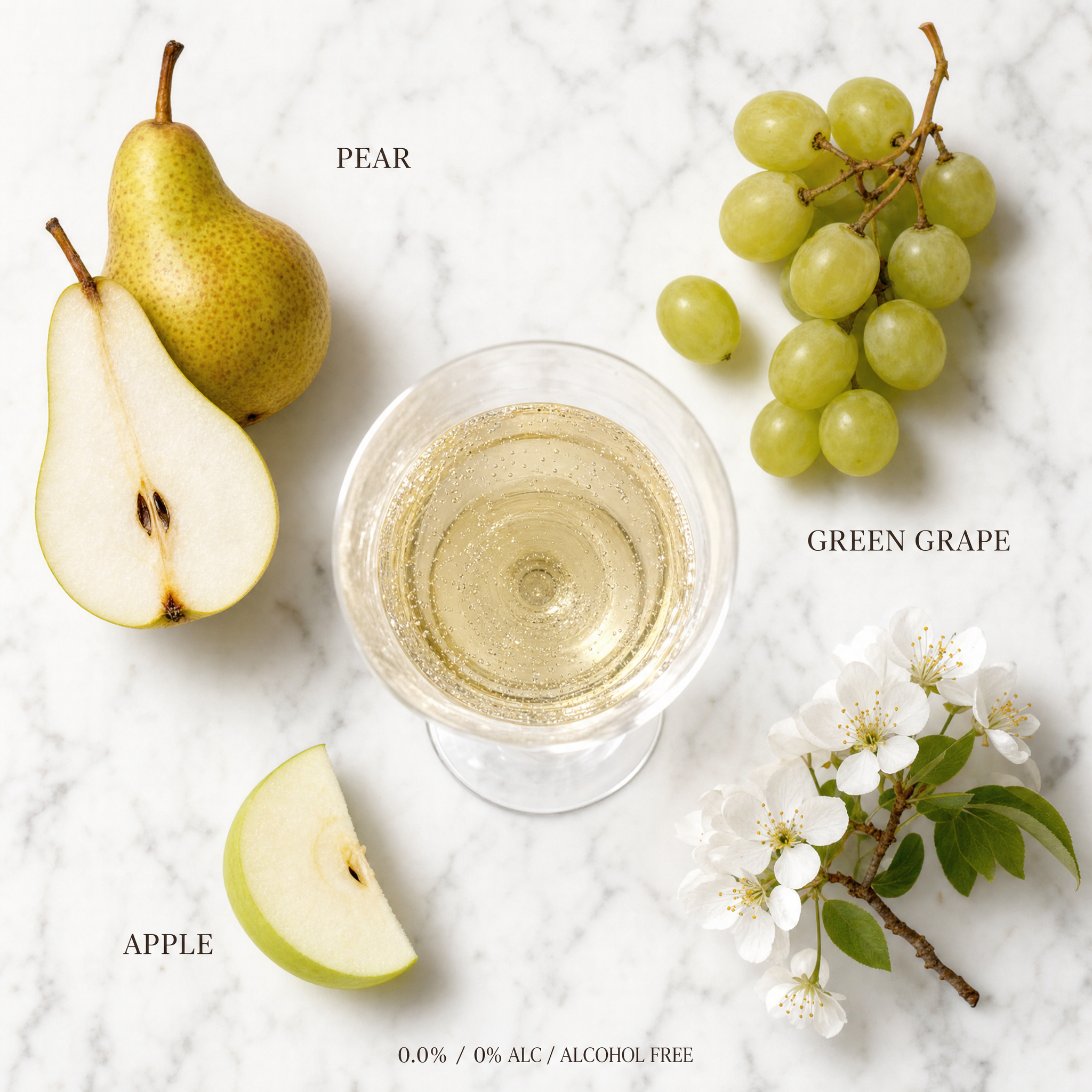 Prima Pavé Blanc de Blancs 0.0% — tasting notes flatlay