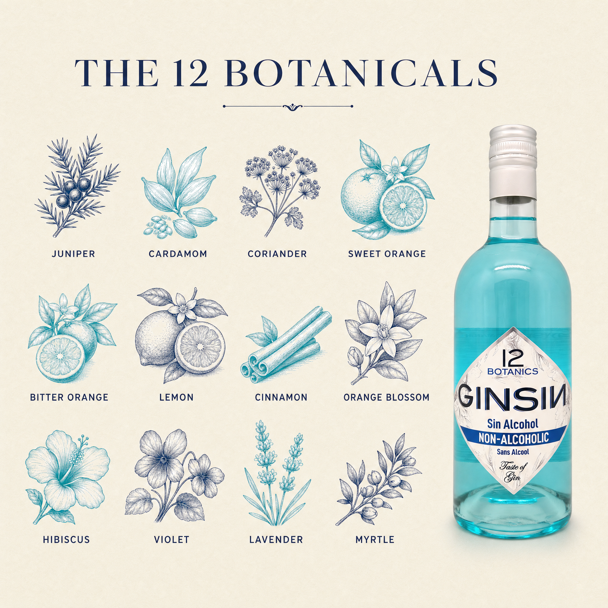 Ginsin 12 Botanics 0.0% non-alcoholic Spanish gin - the 12 botanicals